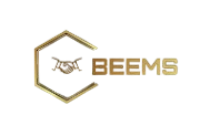 BEEMS